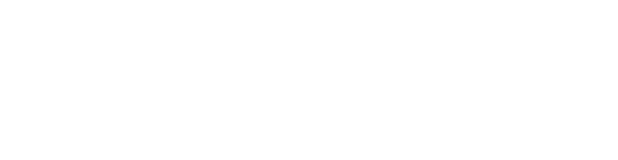 Startup Ventura